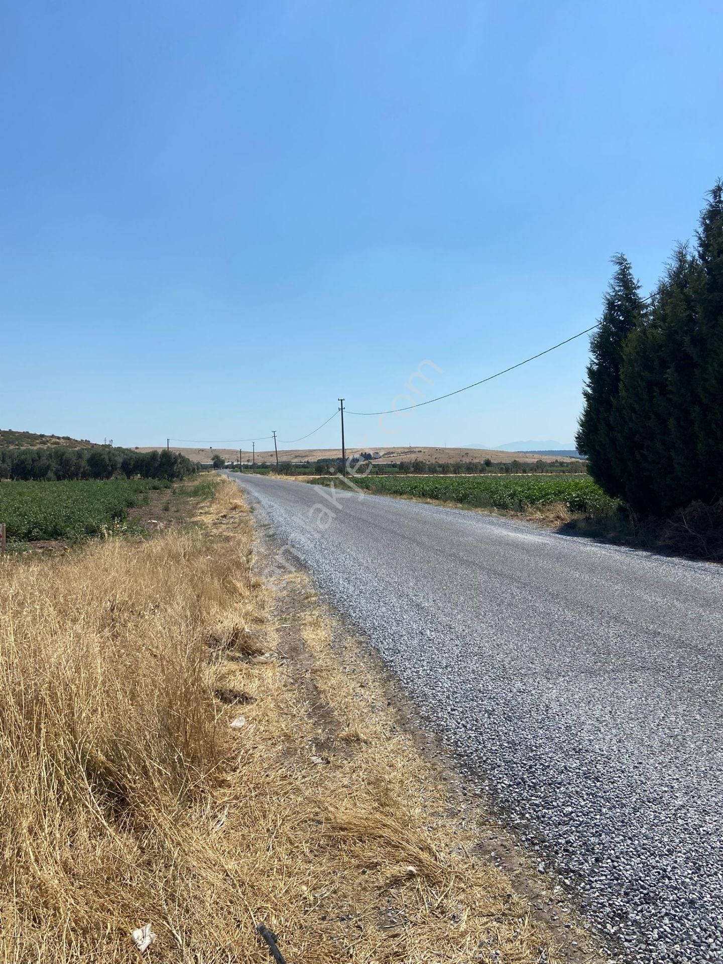 Fiber Emlak Akhisar Kayalıoğlunda Asfalta Sıfır Hobi Bahçesine Uygun Satılık Tek Tapu 11.920 M2