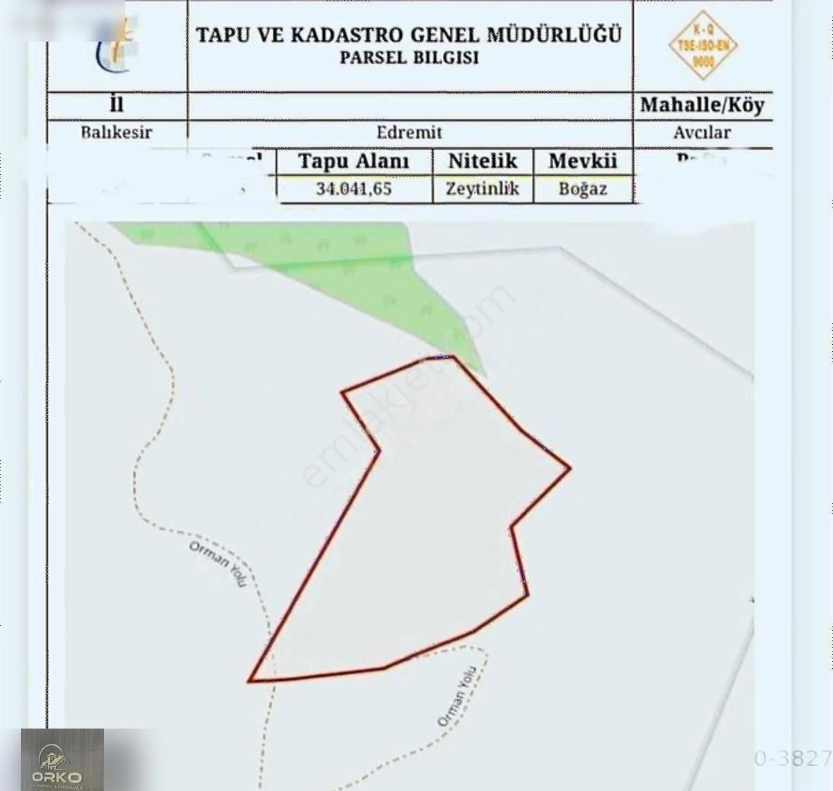 Orko Gayrımenkul'den Avcılar'da Satılık 34.000 M2 Zeytinlik