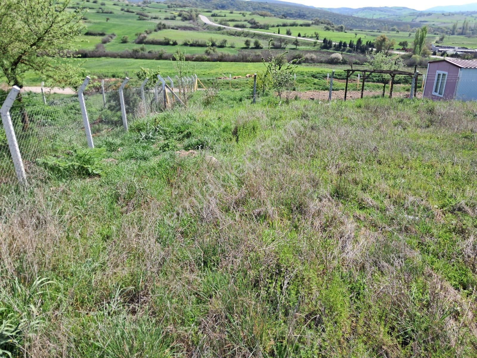 Balıkesir Elfi Den Kepsut Nusret Mah Yatırımlık Arsa
