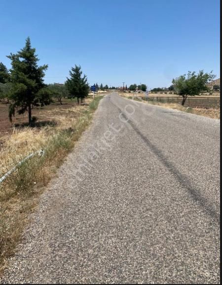 Kumruhamurkesen - Şahinbey 'de Satılık Zeytinlik, Asfalta Sıfır