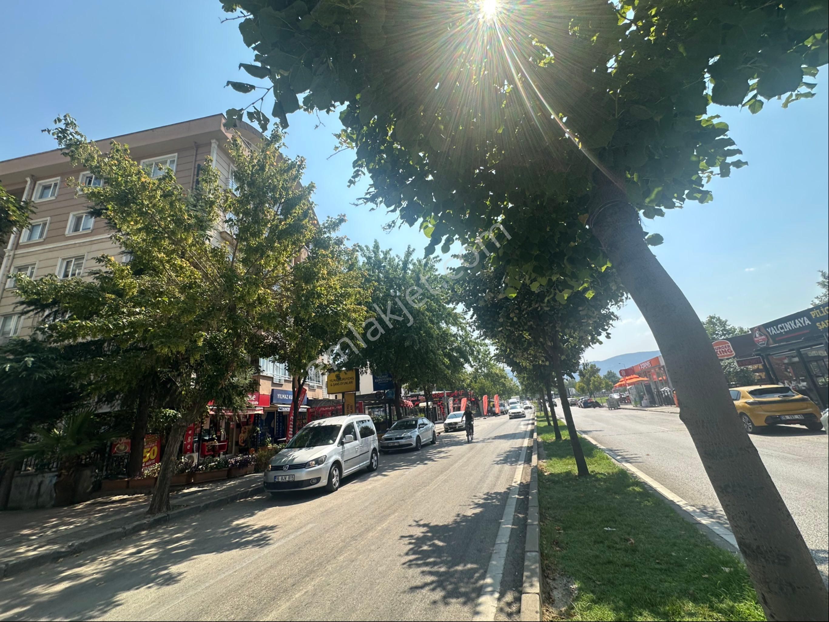 Millet Mah.derya Cad.üzerinde 3+1 Arakat Masrafsız Daire