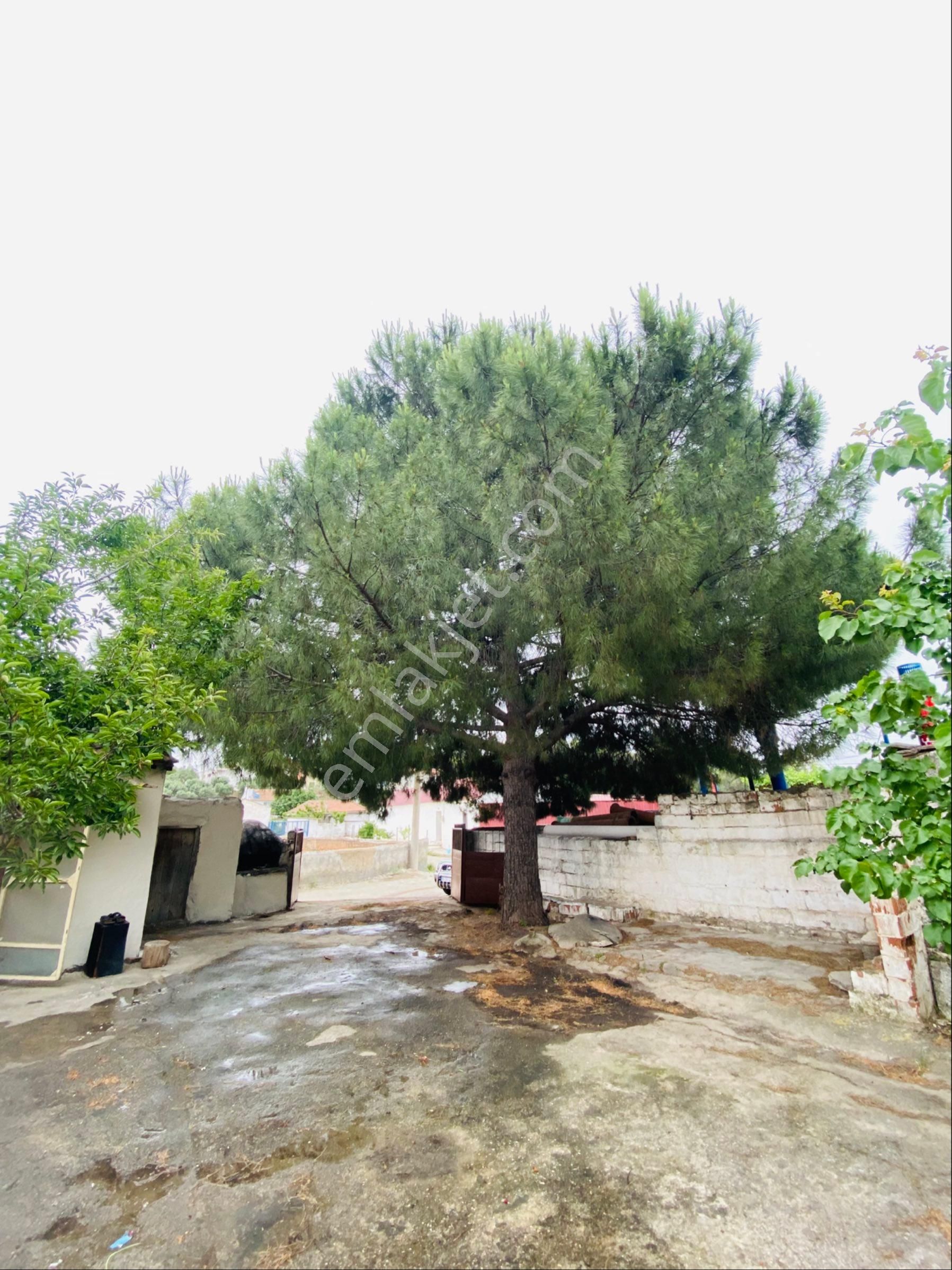 Sakin Ve Doğal Yaşam | 556,7 M² Bahçeli Köy Evi Sahibinden - Görsel 4