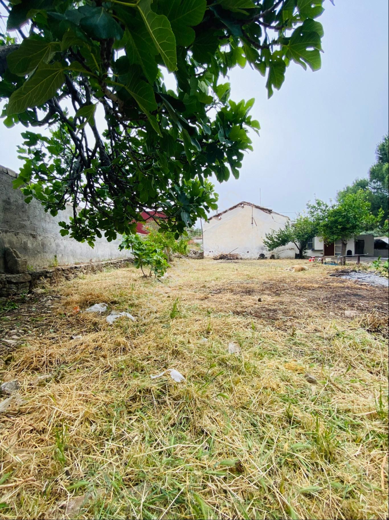 Sakin Ve Doğal Yaşam | 556,7 M² Bahçeli Köy Evi Sahibinden - Görsel 13