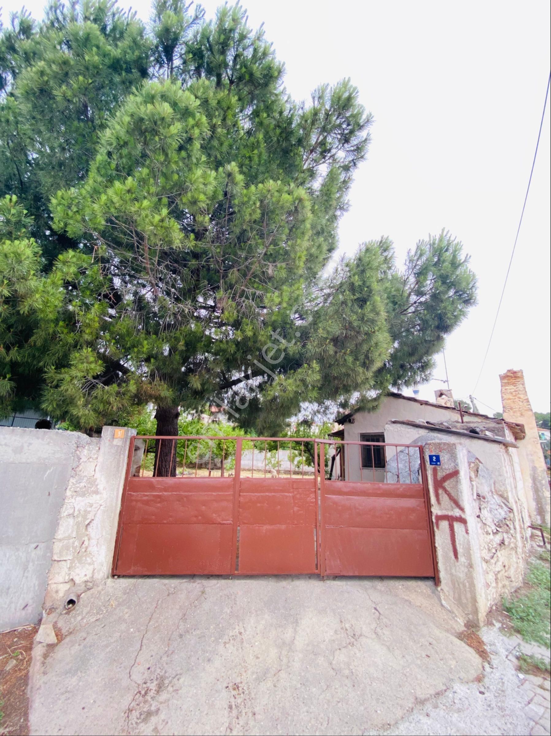 Sakin Ve Doğal Yaşam | 556,7 M² Bahçeli Köy Evi Sahibinden - Görsel 5