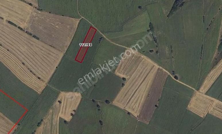 Kırklareli Babaeski Çiğdemli 2,335m2 Tektapu Bahçe Yeri