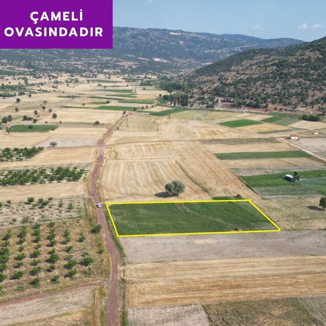 Lobby Fortis'ten Çameli Belevi'de 4468 M² Yatırımlık Tarlamız Satılıktır - Görsel 5