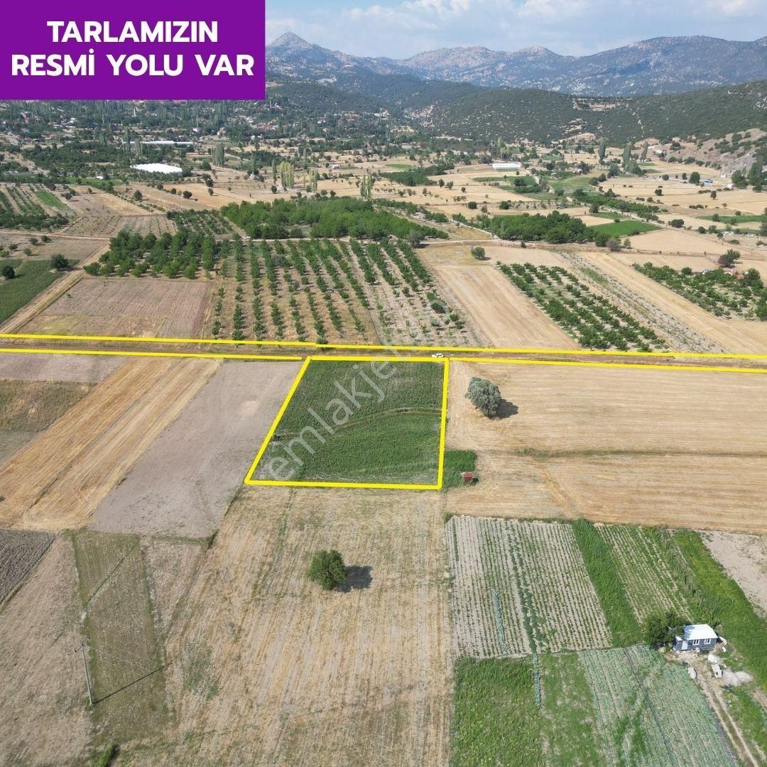 Lobby Fortis'ten Çameli Belevi'de 4468 M² Yatırımlık Tarlamız Satılıktır - Görsel 2