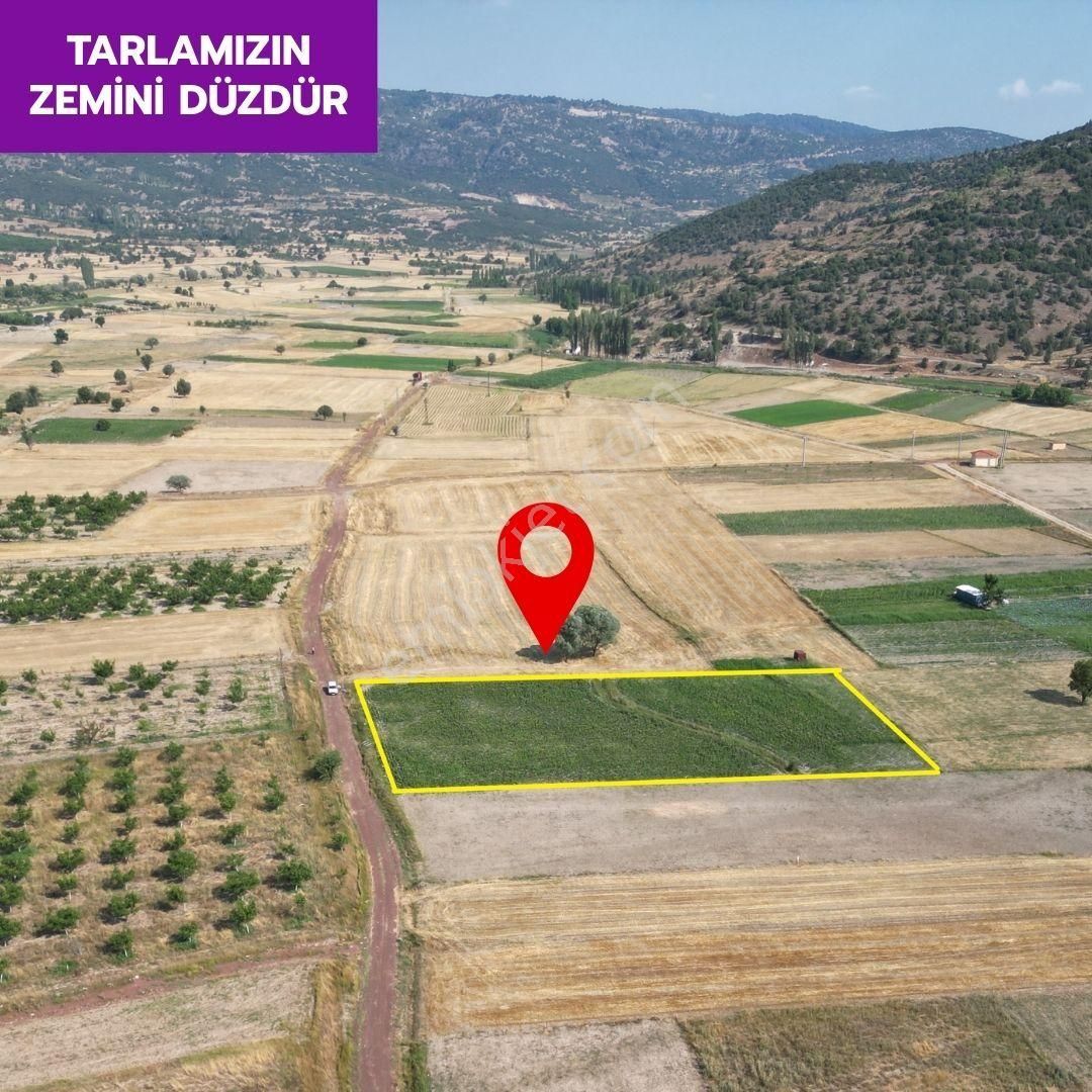 Lobby Fortis'ten Çameli Belevi'de 4468 M² Yatırımlık Tarlamız Satılıktır - Görsel 3