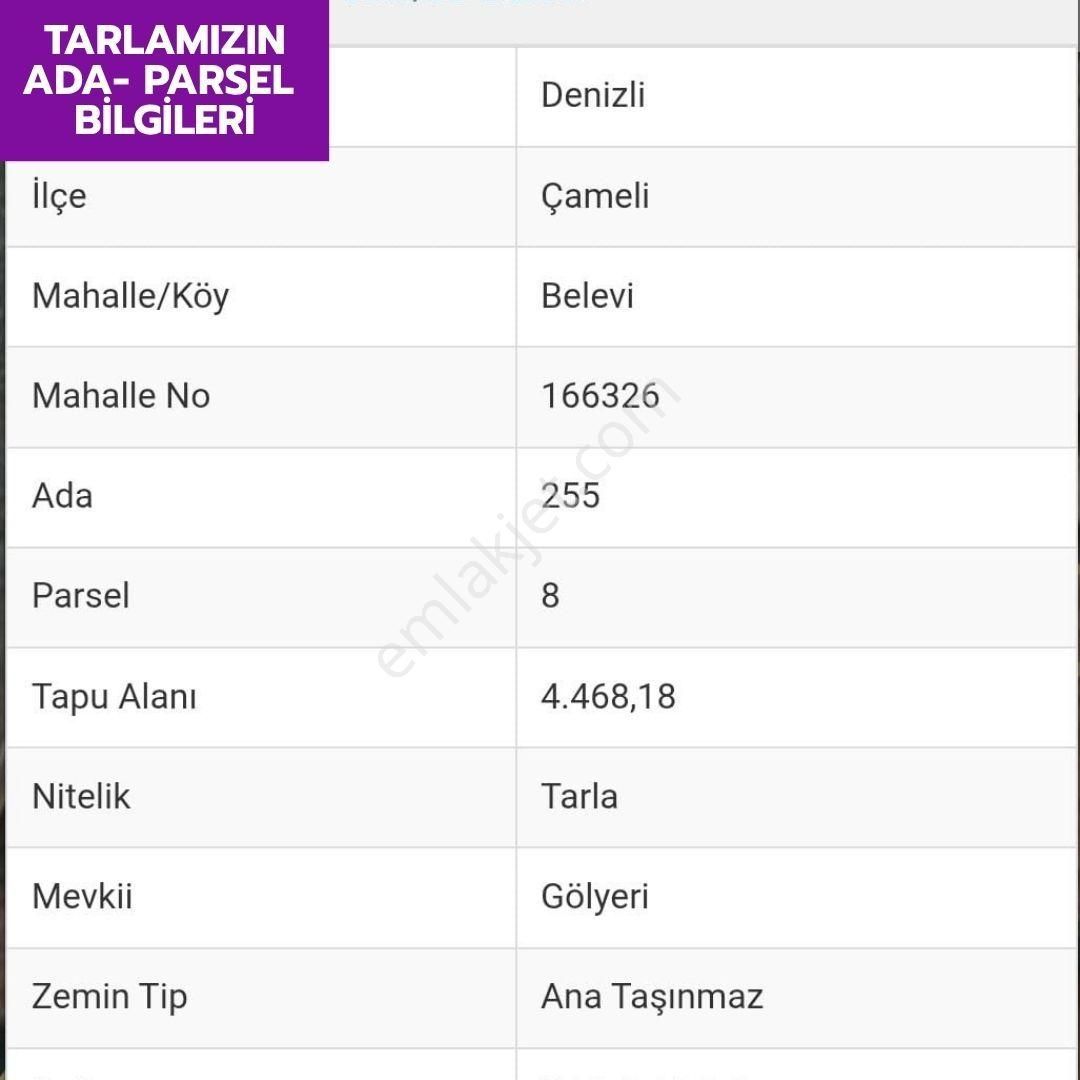 Lobby Fortis'ten Çameli Belevi'de 4468 M² Yatırımlık Tarlamız Satılıktır - Görsel 10
