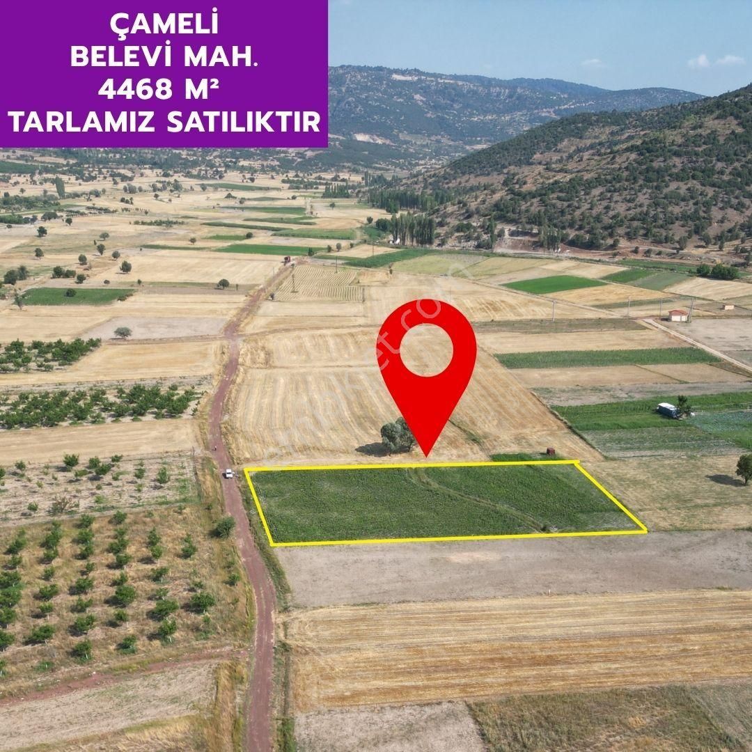Lobby Fortis'ten Çameli Belevi'de 4468 M² Yatırımlık Tarlamız Satılıktır