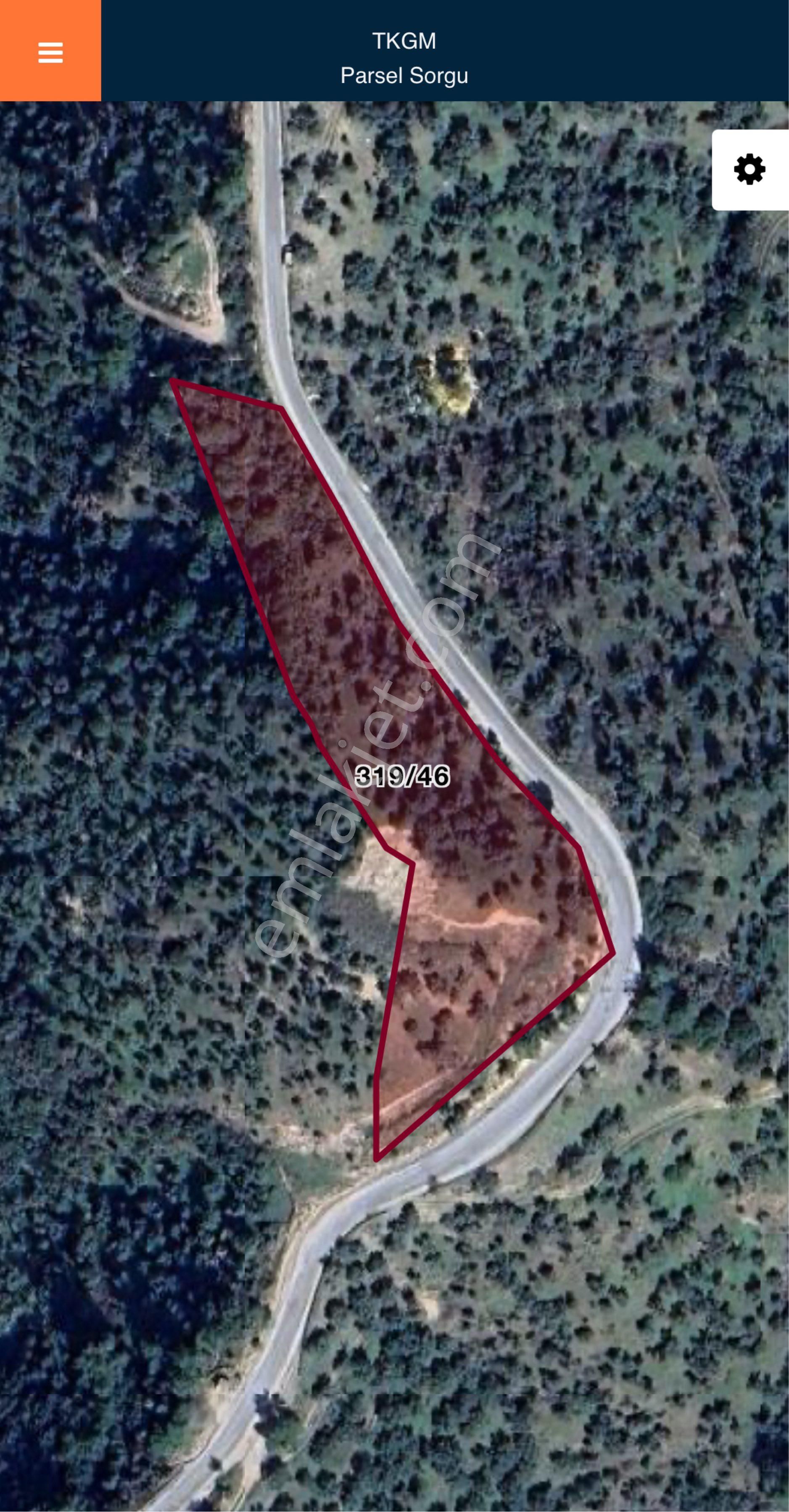 Aydın Efeler/karaköyde 5800 M2 Yola Sıfır Zeytinlik Acil Satılık - Görsel 2