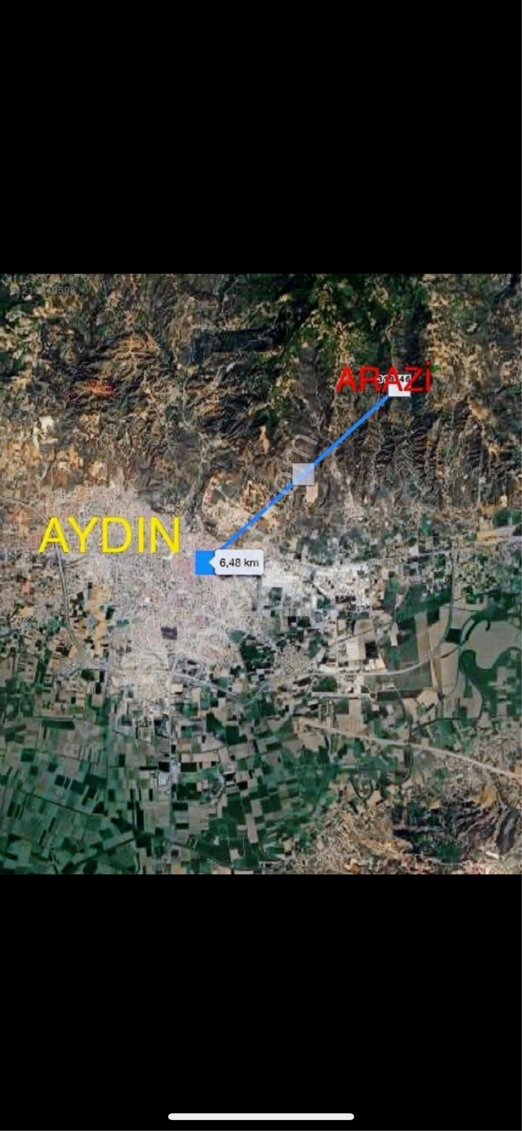 Aydın Efeler/karaköyde 5800 M2 Yola Sıfır Zeytinlik Acil Satılık