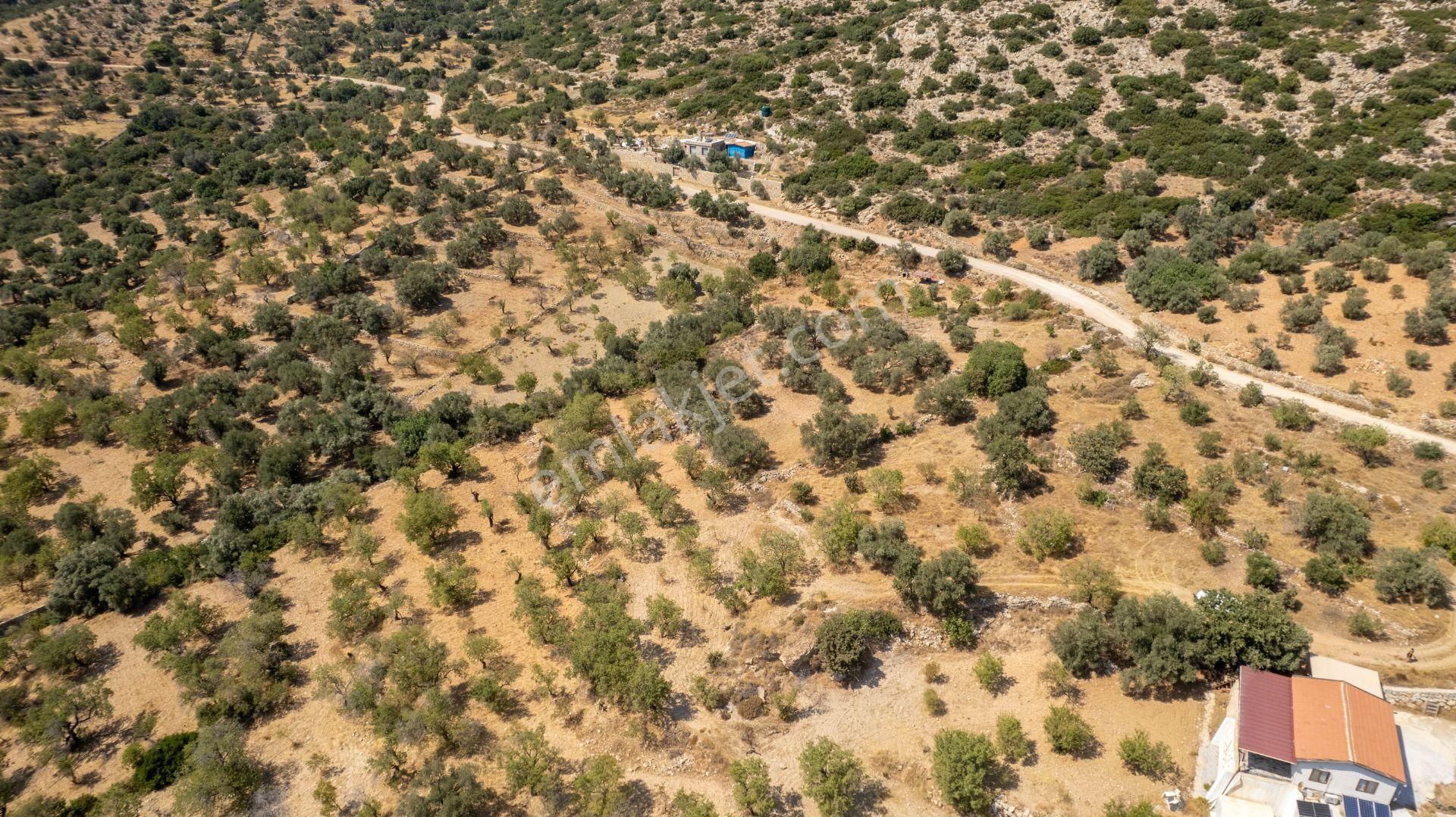 Datça Cumalı Köyünde Satılık 1.830 M2 Bademlik Tarla - Görsel 24