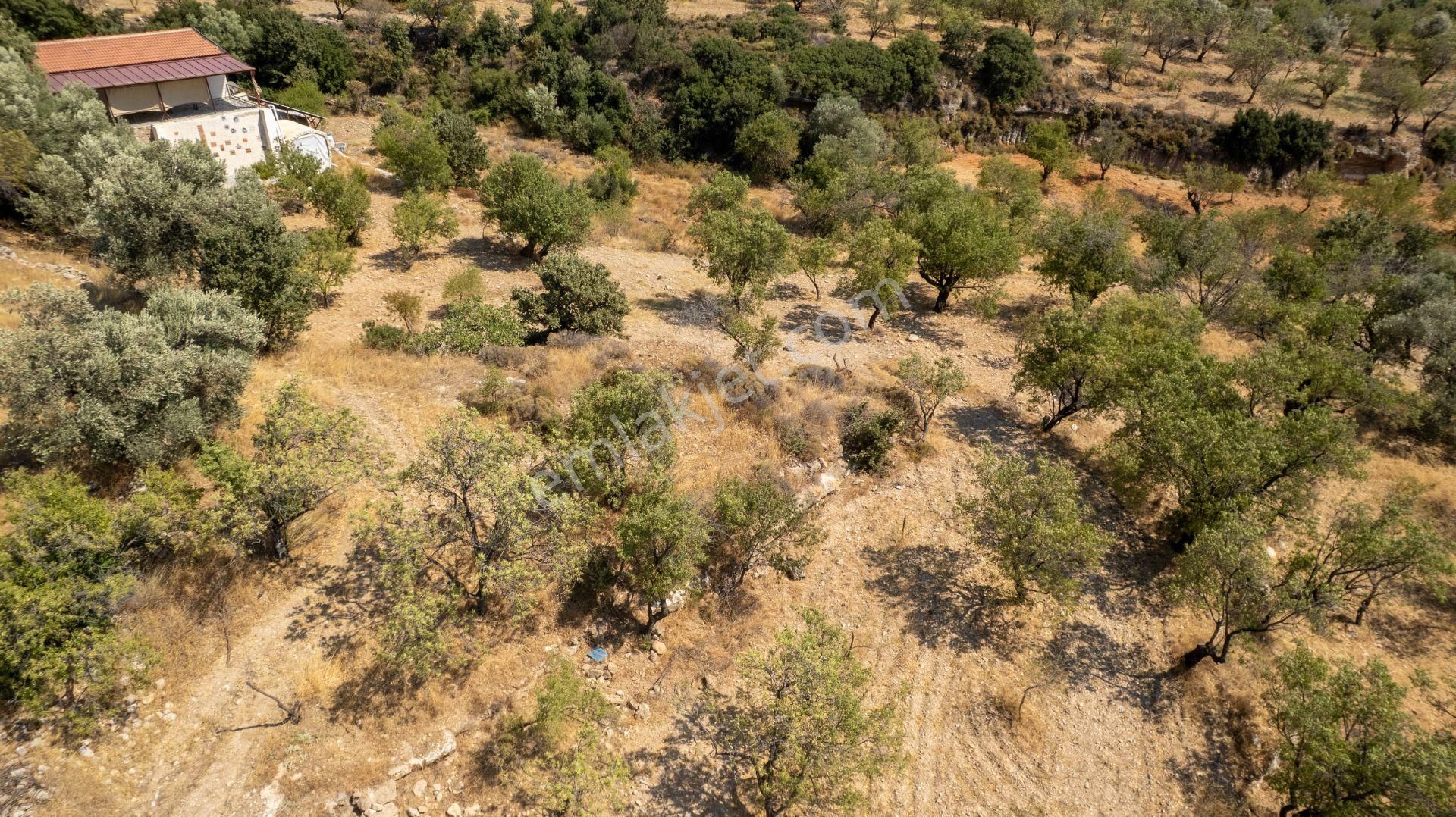 Datça Cumalı Köyünde Satılık 1.830 M2 Bademlik Tarla - Görsel 3