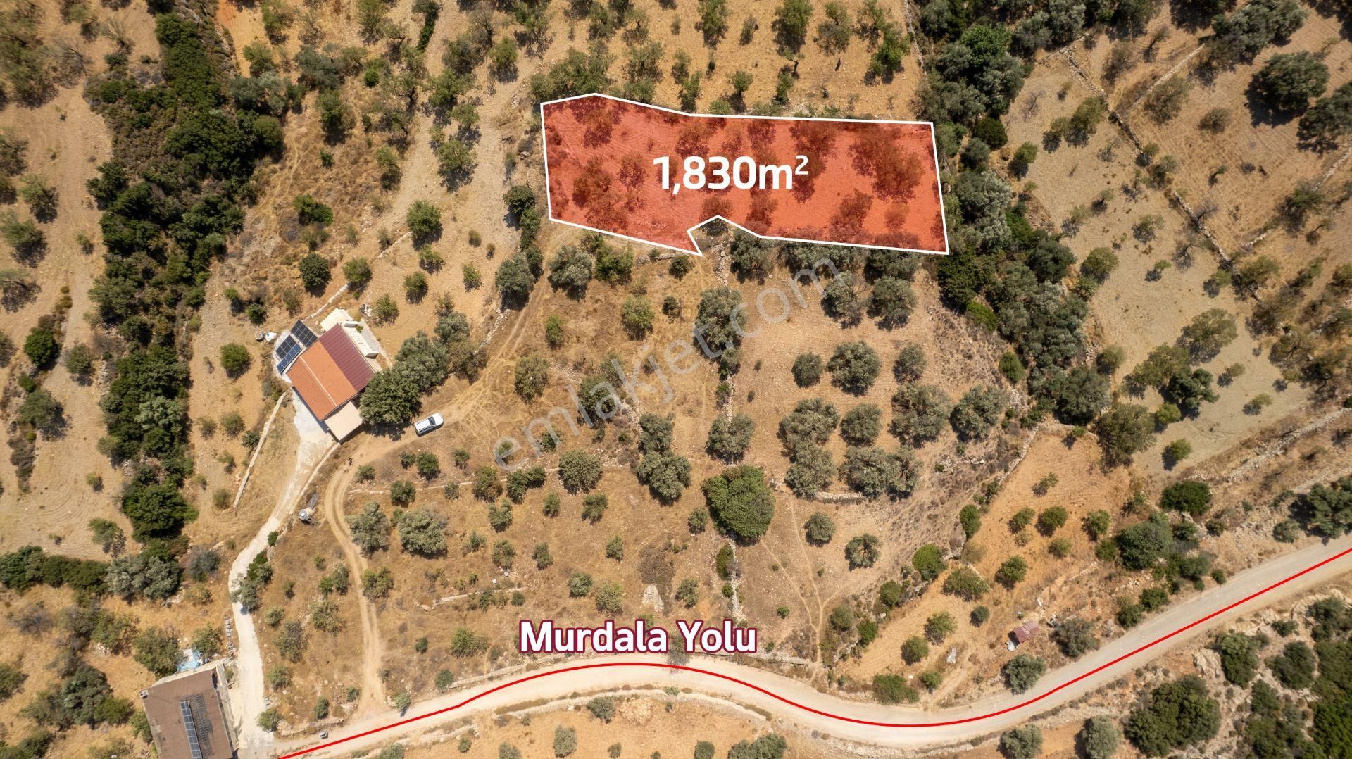 Datça Cumalı Köyünde Satılık 1.830 M2 Bademlik Tarla - Görsel 13