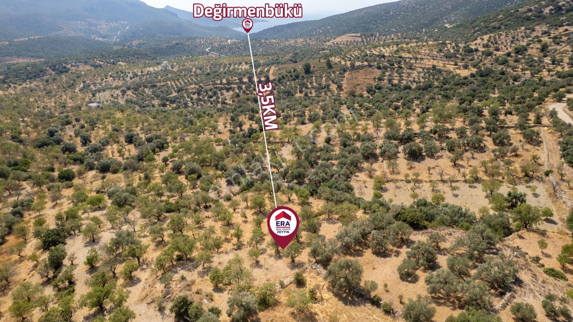 Datça Cumalı Köyünde Satılık 1.830 M2 Bademlik Tarla - Görsel 19