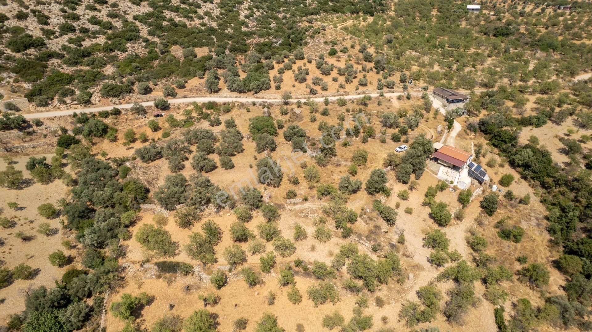 Datça Cumalı Köyünde Satılık 1.830 M2 Bademlik Tarla - Görsel 28