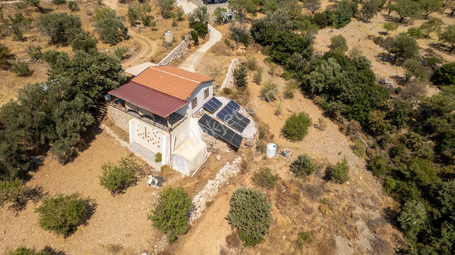 Datça Cumalı Köyünde Satılık 1.830 M2 Bademlik Tarla - Görsel 4