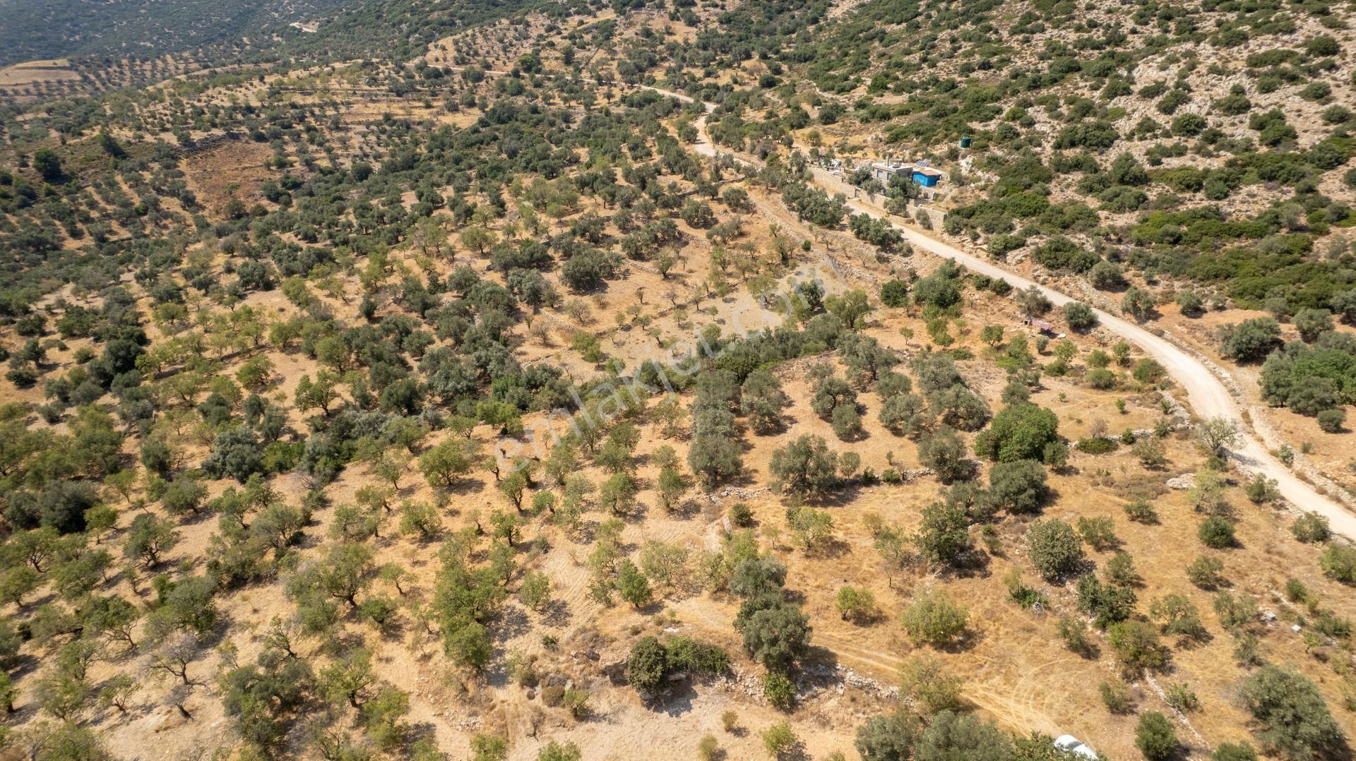 Datça Cumalı Köyünde Satılık 1.830 M2 Bademlik Tarla - Görsel 23