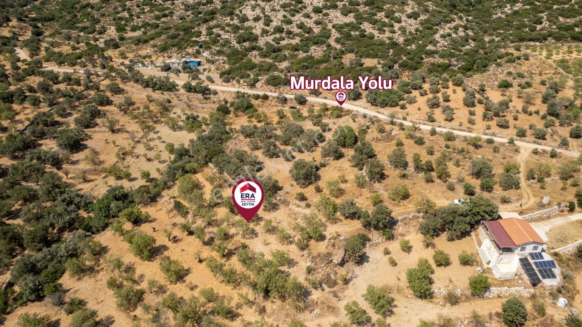 Datça Cumalı Köyünde Satılık 1.830 M2 Bademlik Tarla - Görsel 25