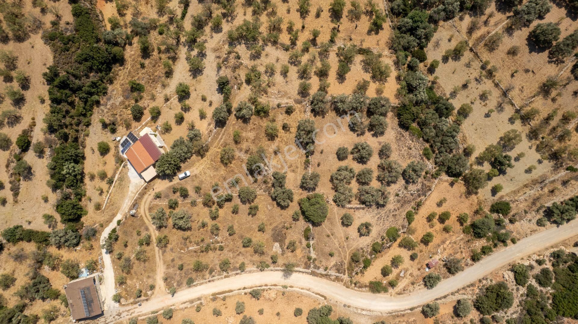 Datça Cumalı Köyünde Satılık 1.830 M2 Bademlik Tarla - Görsel 15