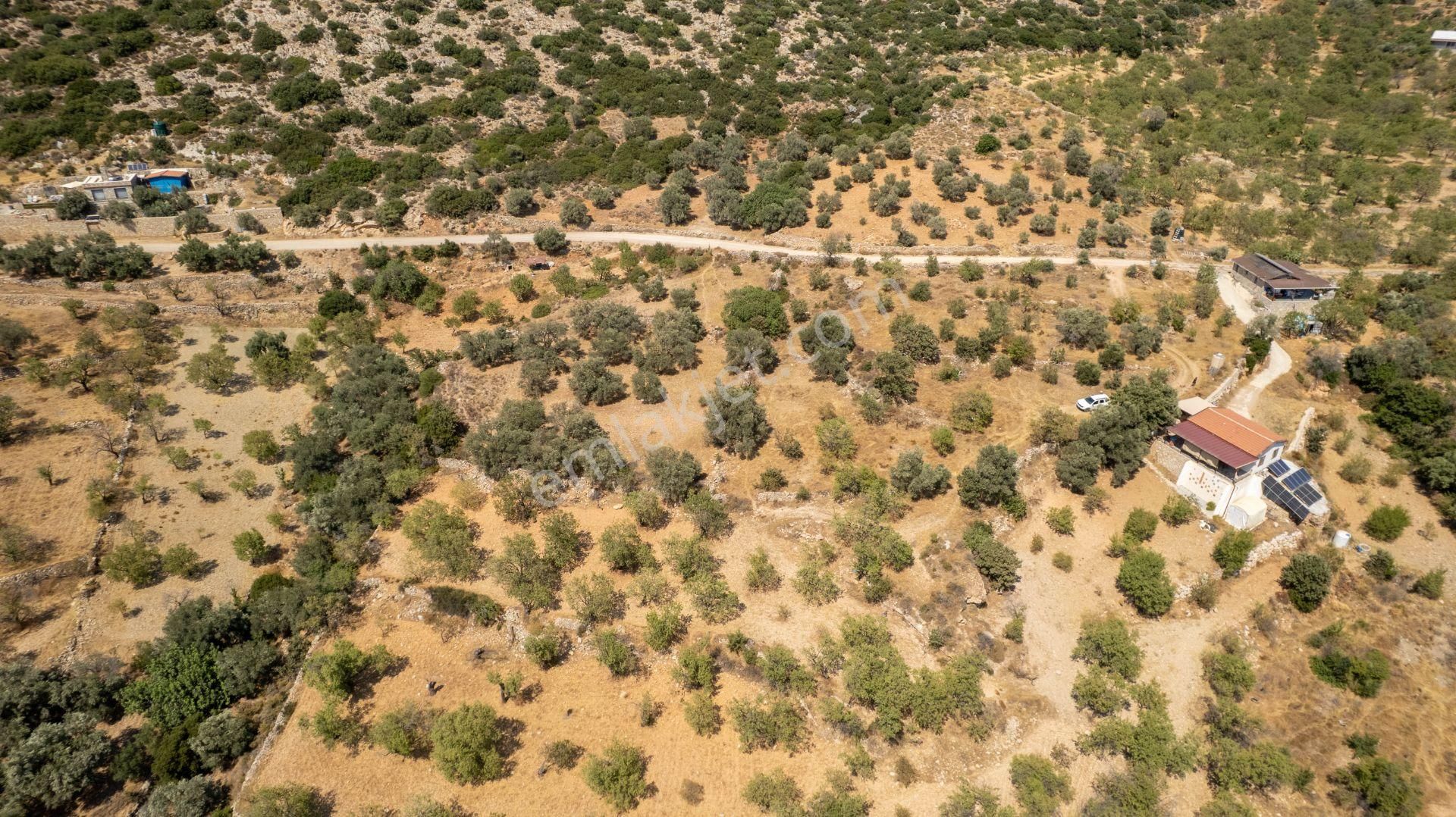 Datça Cumalı Köyünde Satılık 1.830 M2 Bademlik Tarla - Görsel 27