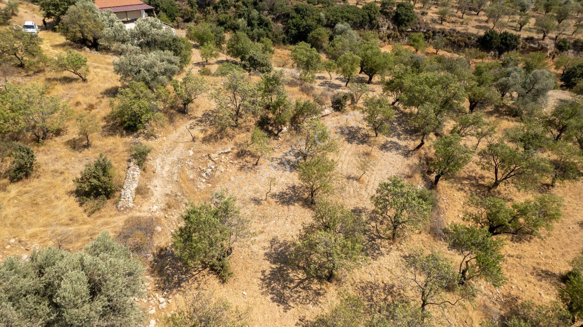 Datça Cumalı Köyünde Satılık 1.830 M2 Bademlik Tarla - Görsel 9