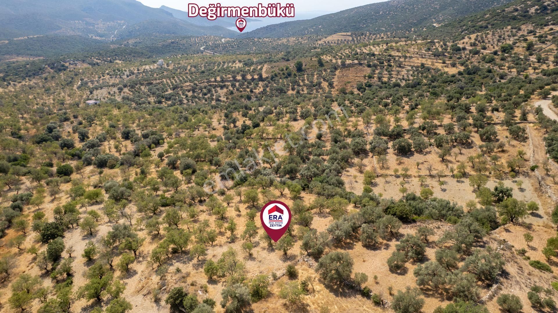 Datça Cumalı Köyünde Satılık 1.830 M2 Bademlik Tarla - Görsel 18