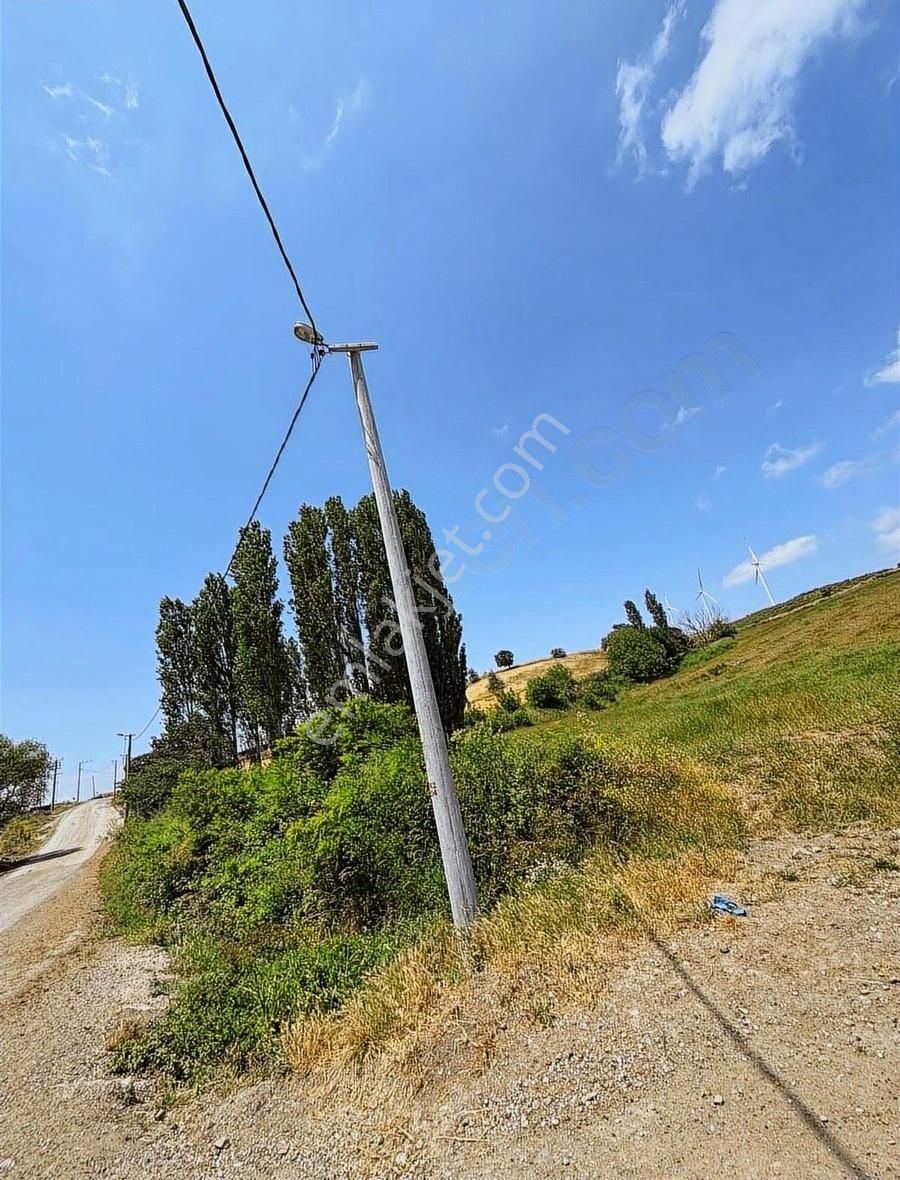 Balıkesir Kepsut Eşeler Satılık Tek Tapu Yola Cephe Tarla