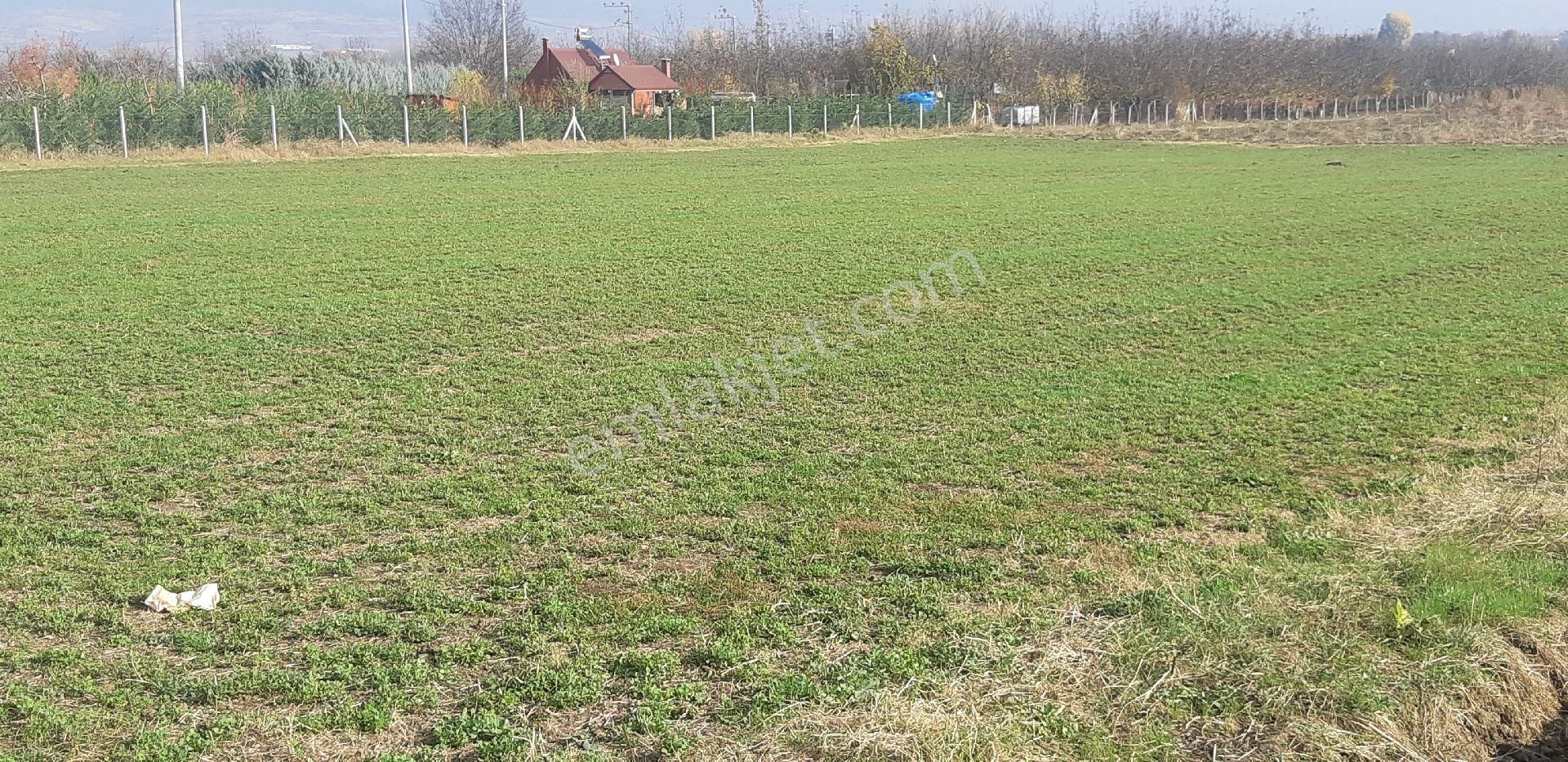 E&f Gayrimenkul'den Deydinler Mahallesinde Asfalt Yola Cephe Tarla