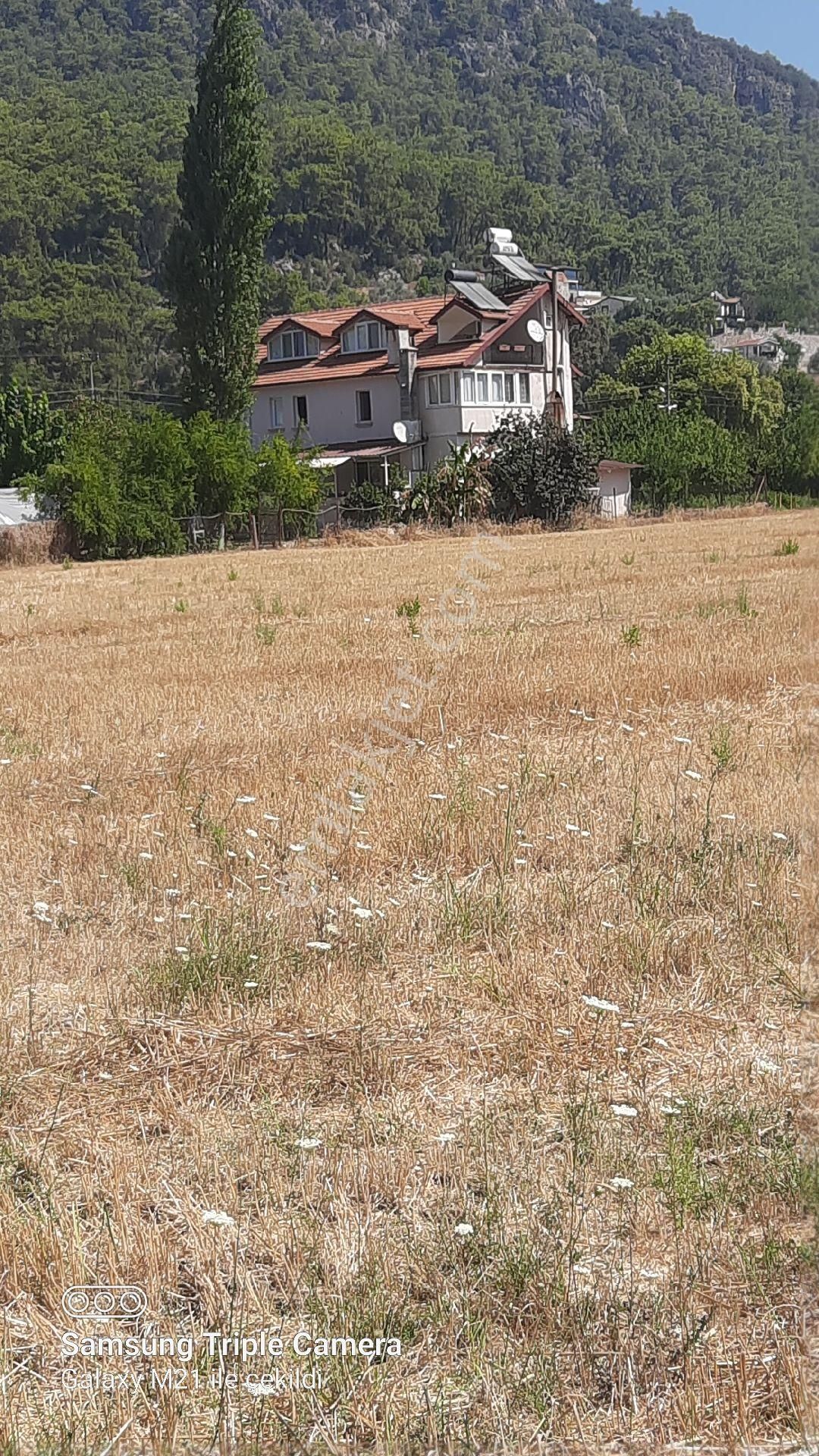 İnlicede Yerleşim İçi Satılık Yer - Görsel 4