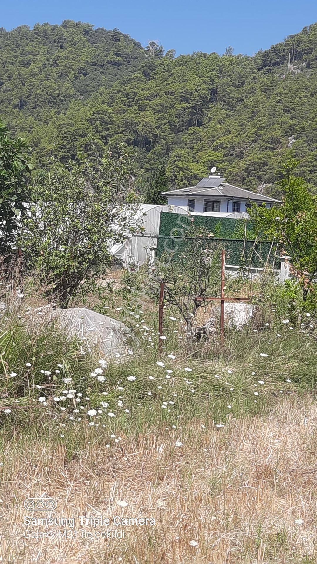 İnlicede Yerleşim İçi Satılık Yer - Görsel 7