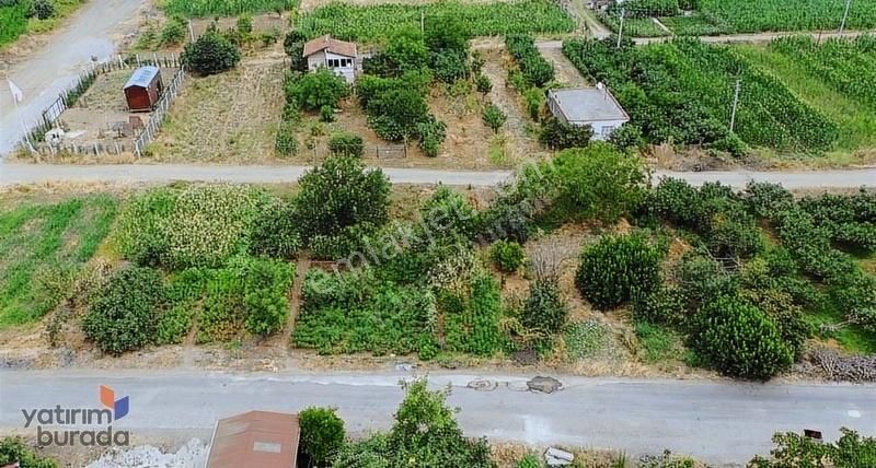 Tekkeköy'de Osb'ye Komşu Ticari İmarlı Arsa