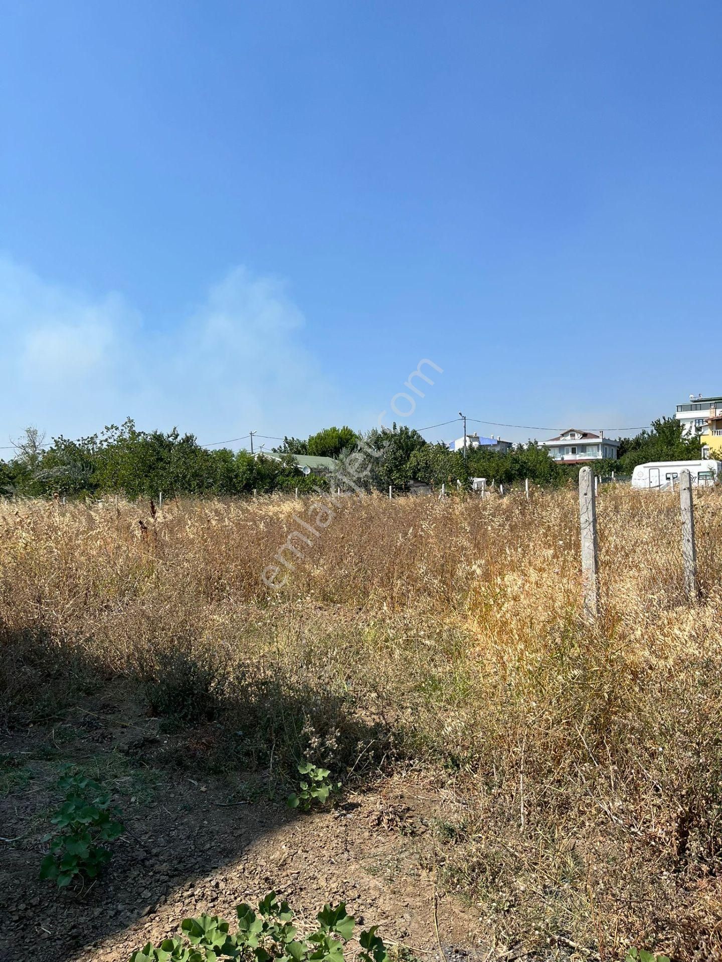 Fc Grup'tan Büyükçekmece Celaliye De Kupon Arsa - Görsel 3