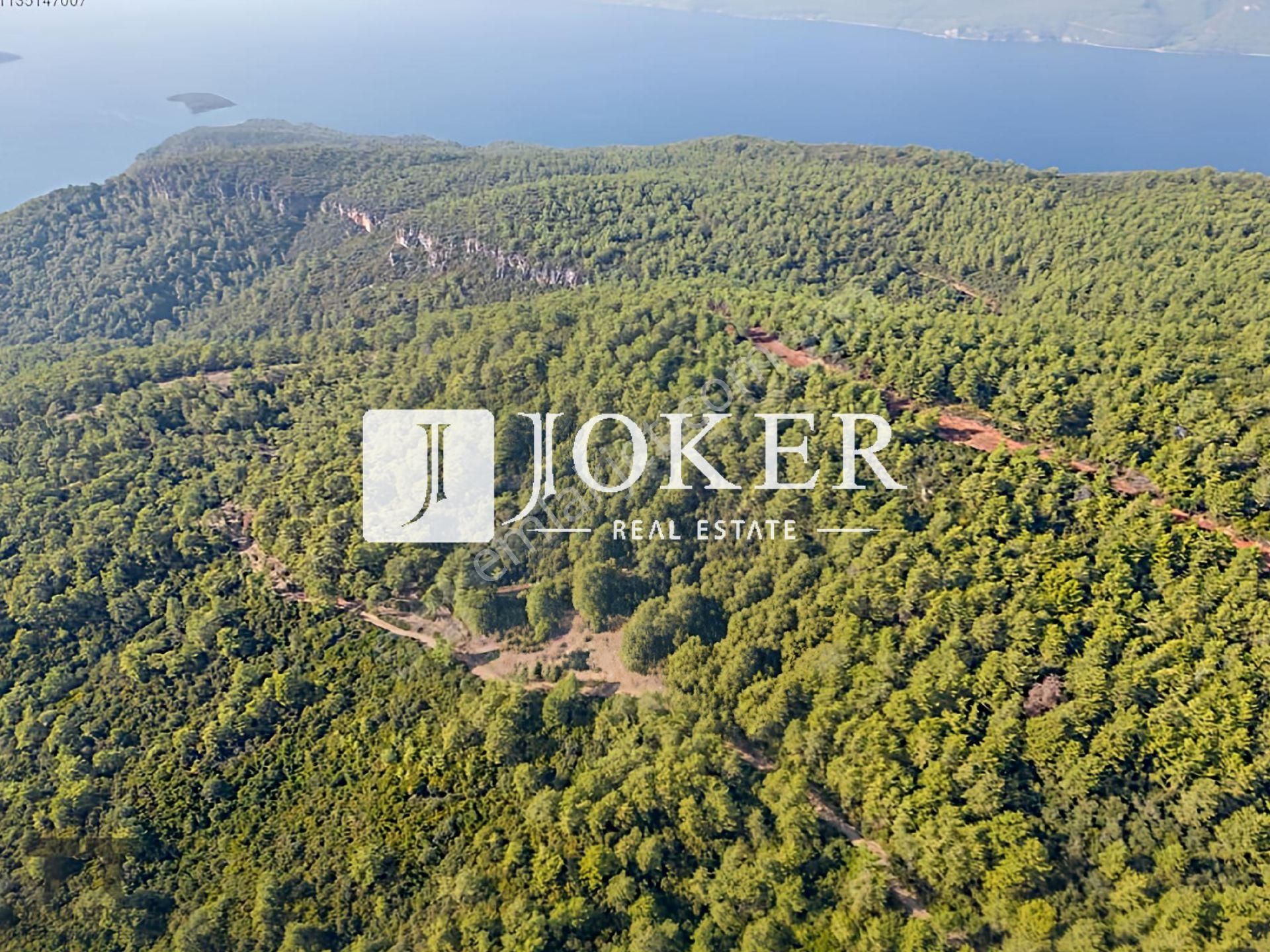 Joker: Marmaris Çetibeli Yüksek Yatırıma Uygun Çam Ağaçları Arasında Satılık - Görsel 5