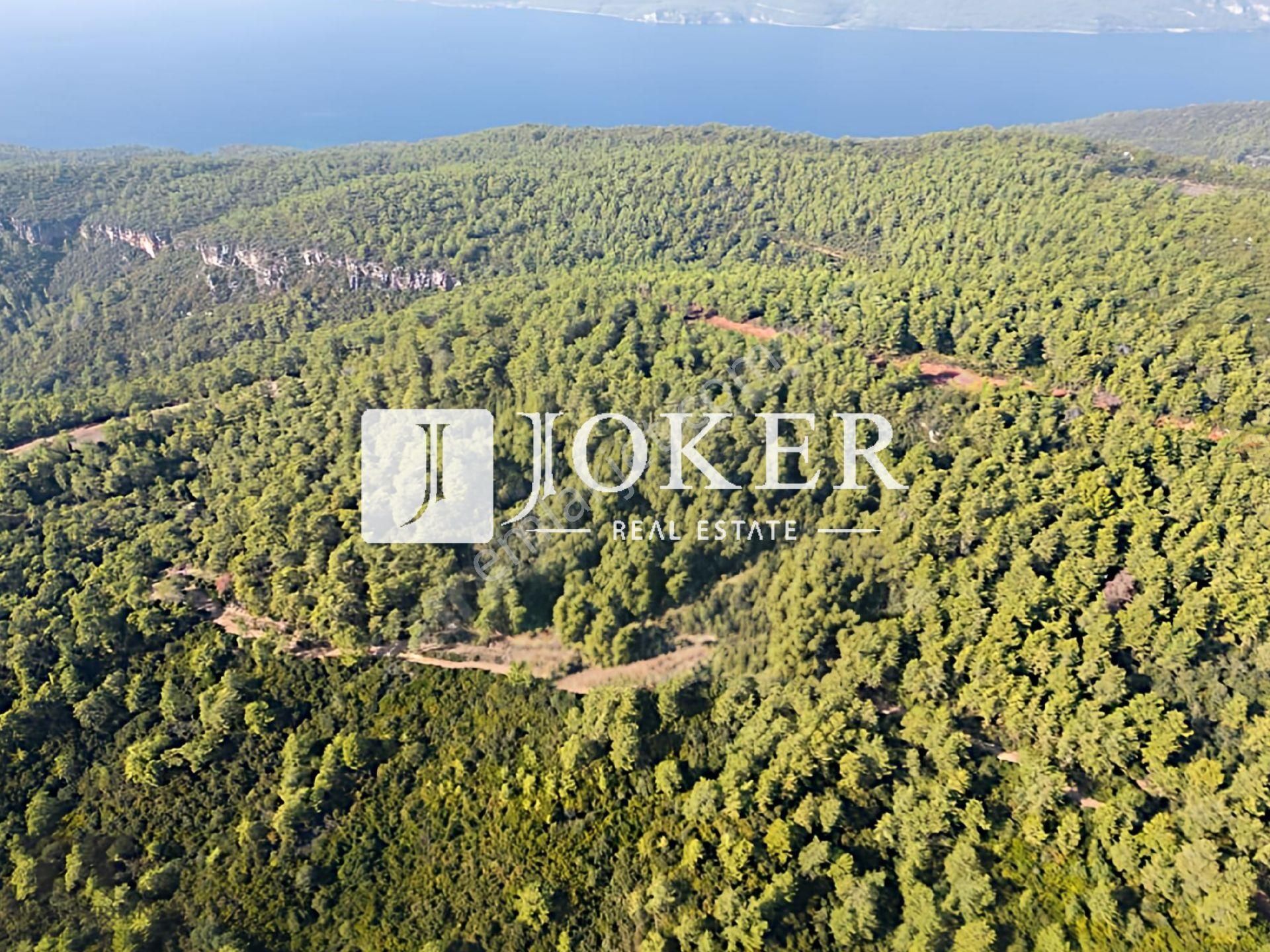 Joker: Marmaris Çetibeli Yüksek Yatırıma Uygun Çam Ağaçları Arasında Satılık - Görsel 3