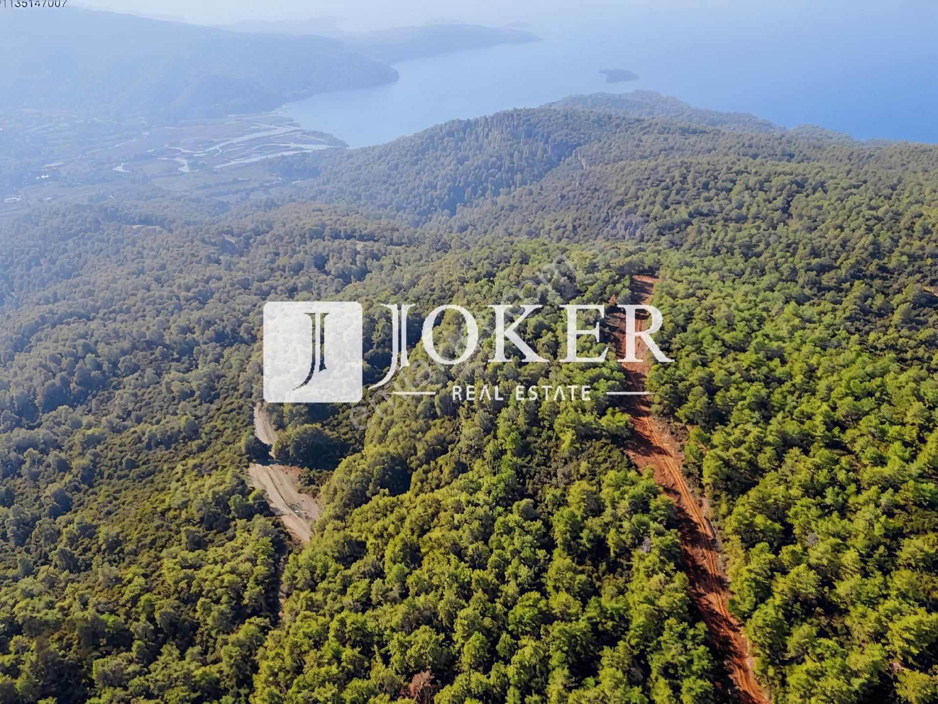 Joker: Marmaris Çetibeli Yüksek Yatırıma Uygun Çam Ağaçları Arasında Satılık - Görsel 4