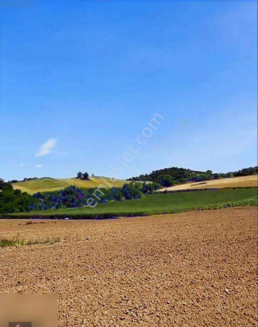 Sadoğlu Gayrimenkul'den Satılık 3.759 M2 Altınyazı