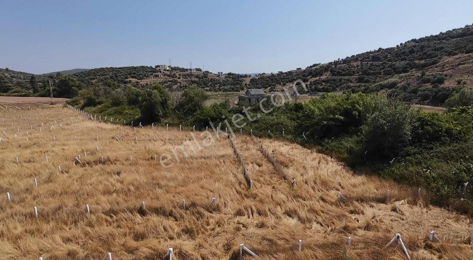 523 M2 Hisse Tapu Hemen Arayın Çünkü Kaçırmayın Bu Parseli