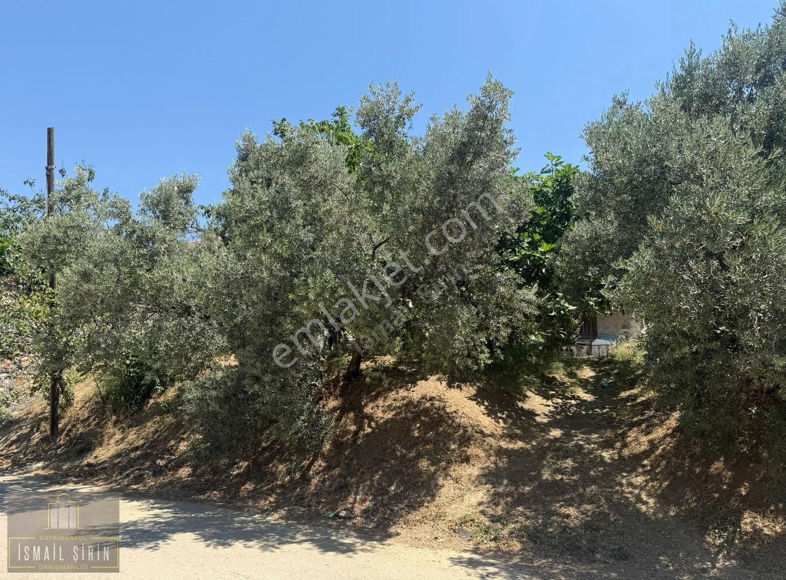 İsmail Şirinden Umurbeyde İki Yola Cepheli Celal Bayar Evi - Görsel 2