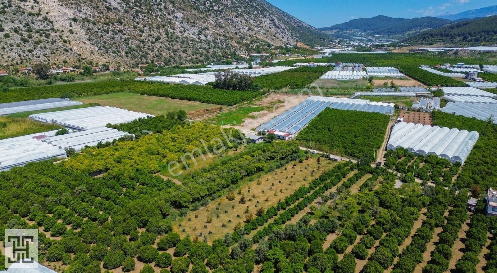 Salur Mahallesinde - 2146m2 - Avokado Bahçesi - Görsel 3