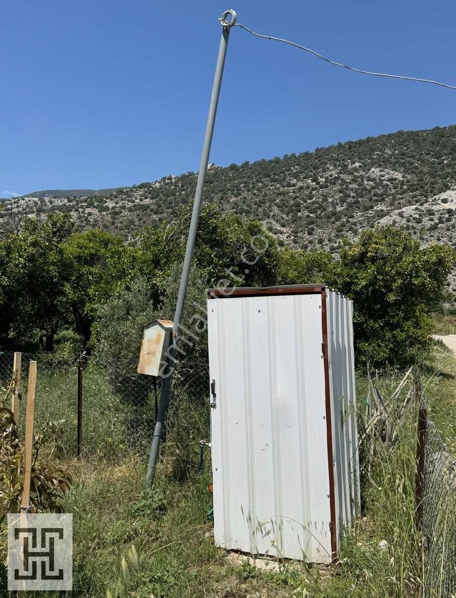 Salur Mahallesinde - 2146m2 - Avokado Bahçesi - Görsel 4
