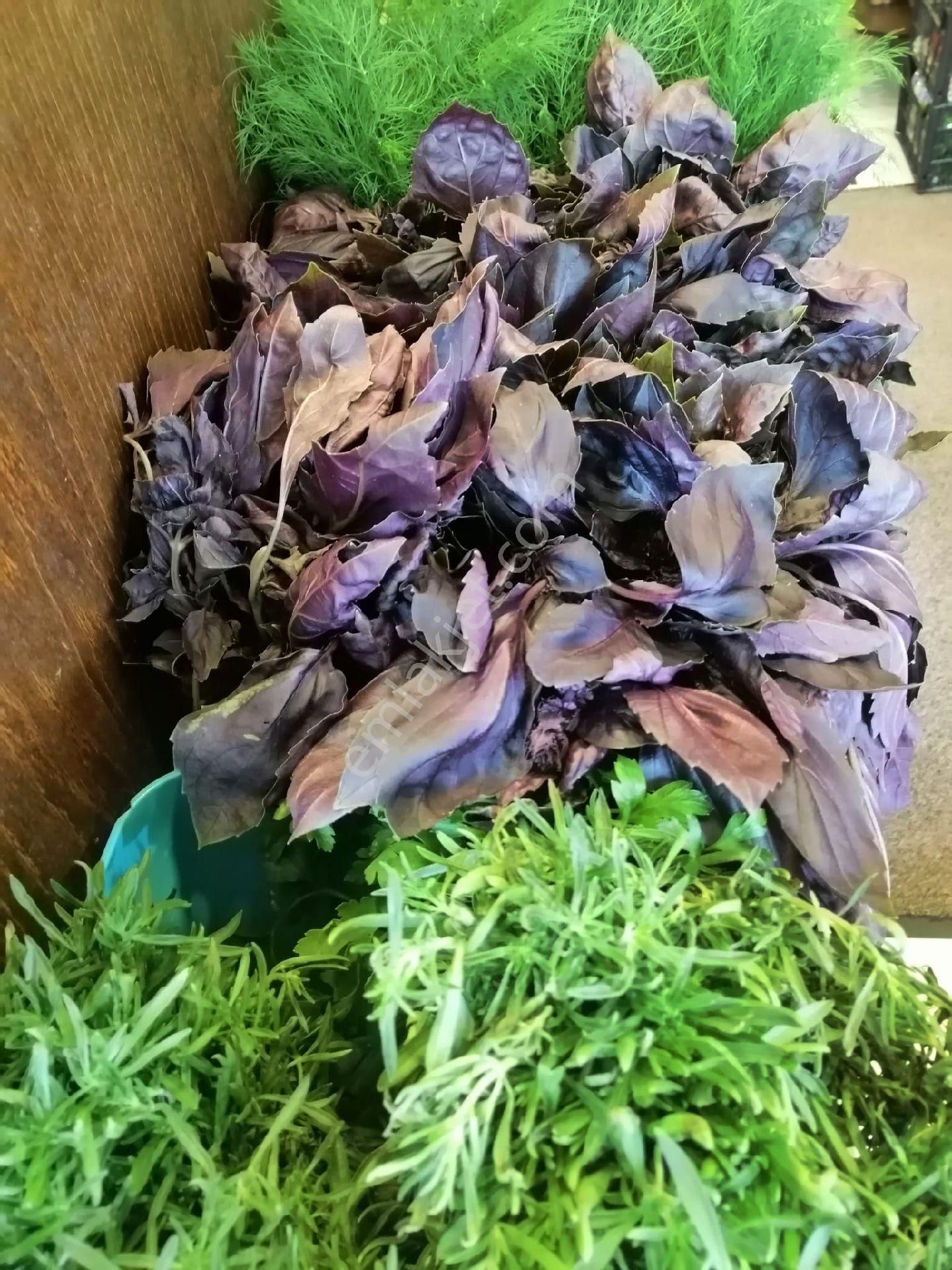 Küçükyalı Cadde"de Devren 45 M2 Ön Kullanımlı Manav Şarküteri - Görsel 16