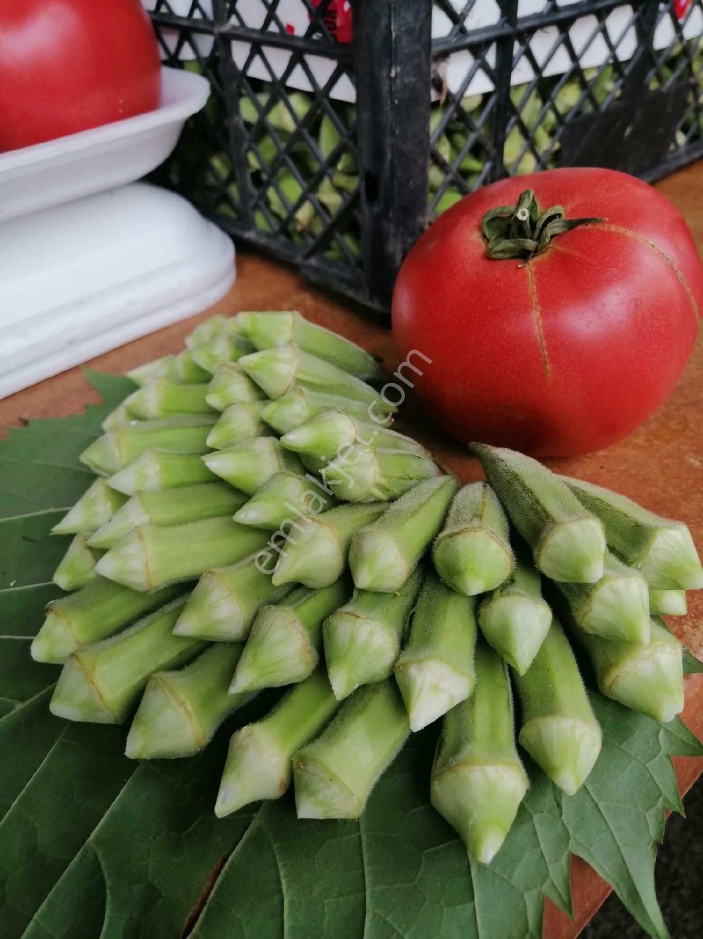 Küçükyalı Cadde"de Devren 45 M2 Ön Kullanımlı Manav Şarküteri - Görsel 17