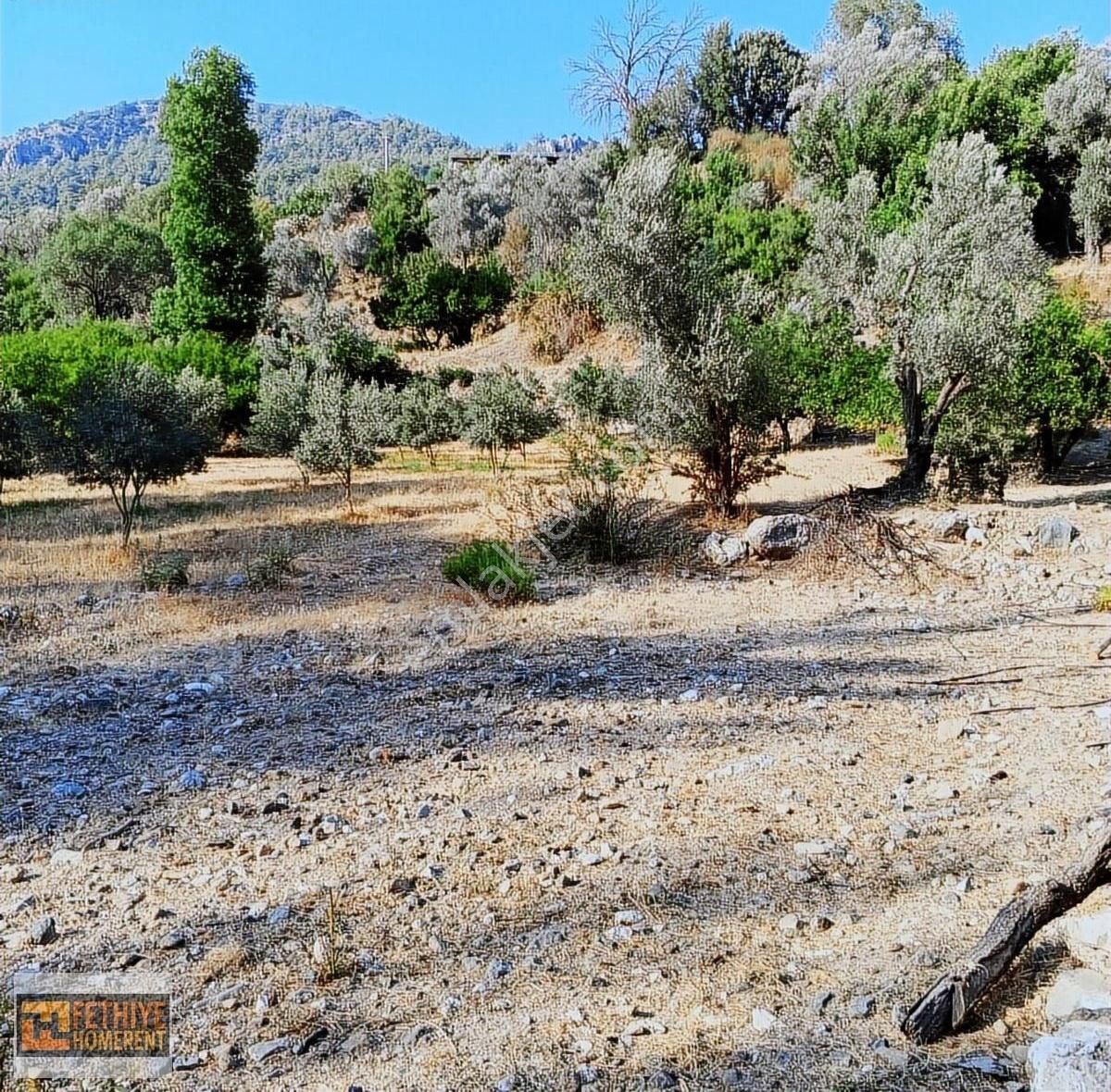 Fethiye Yakacık Ta Müstakil 517 M2 Satılık Tarla
