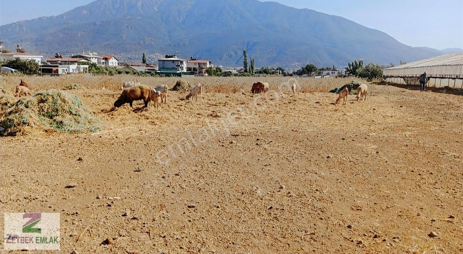 Fethiye Karaçulha Mahallesi'nde Satılık Tarla
