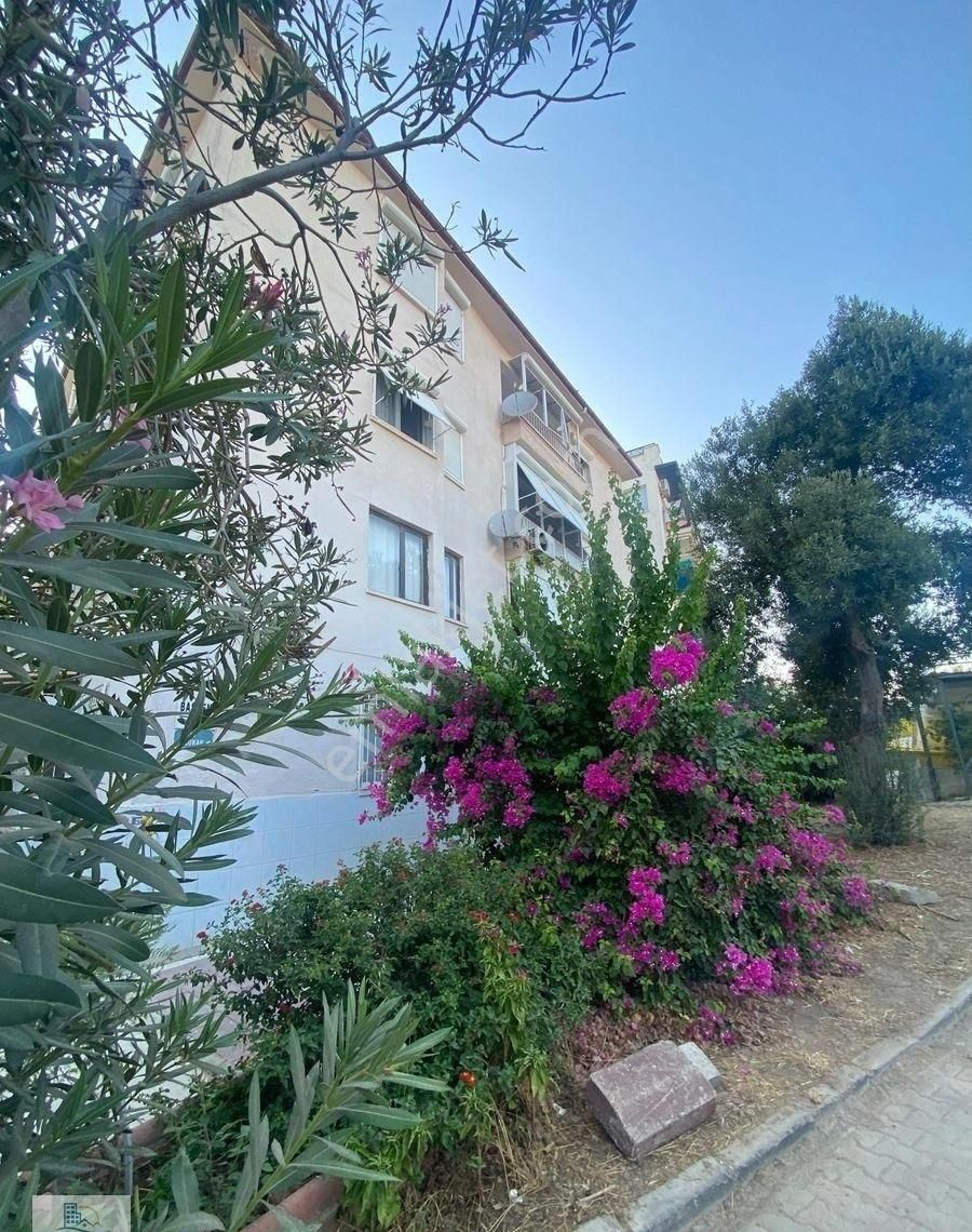 Didim Altınkumda Denize Sadece Yürüme Mesafesinde 2+1 Eşyalı Daire - Görsel 7