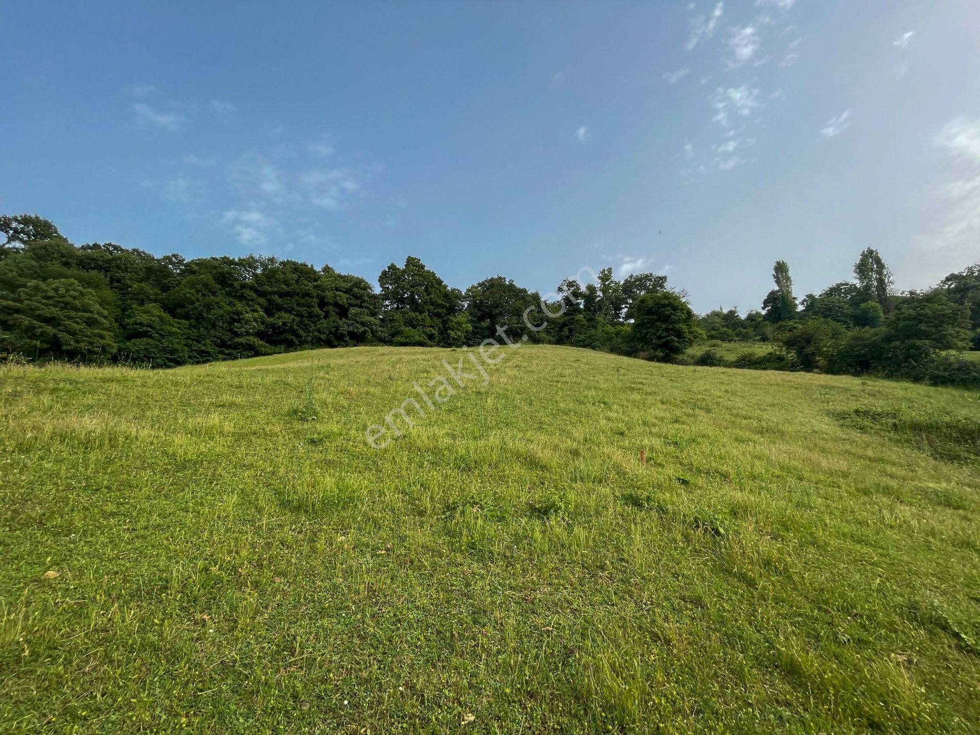 Biga Kapanbelen Köyünde Çan Yoluna Yakın 1.632,03 M² Tarla - Görsel 14