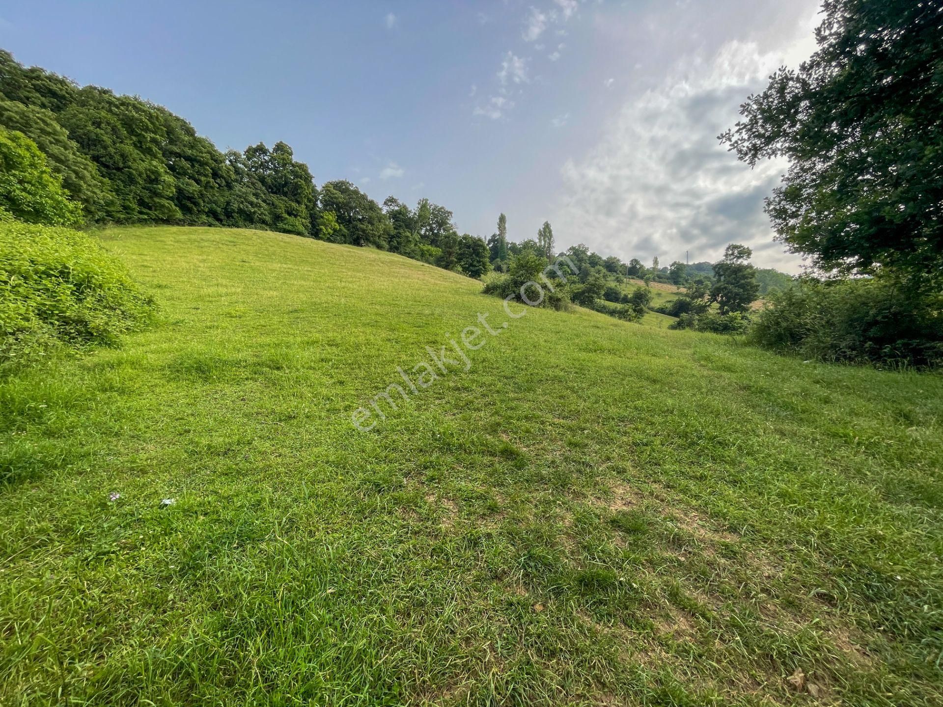 Biga Kapanbelen Köyünde Çan Yoluna Yakın 1.632,03 M² Tarla - Görsel 13