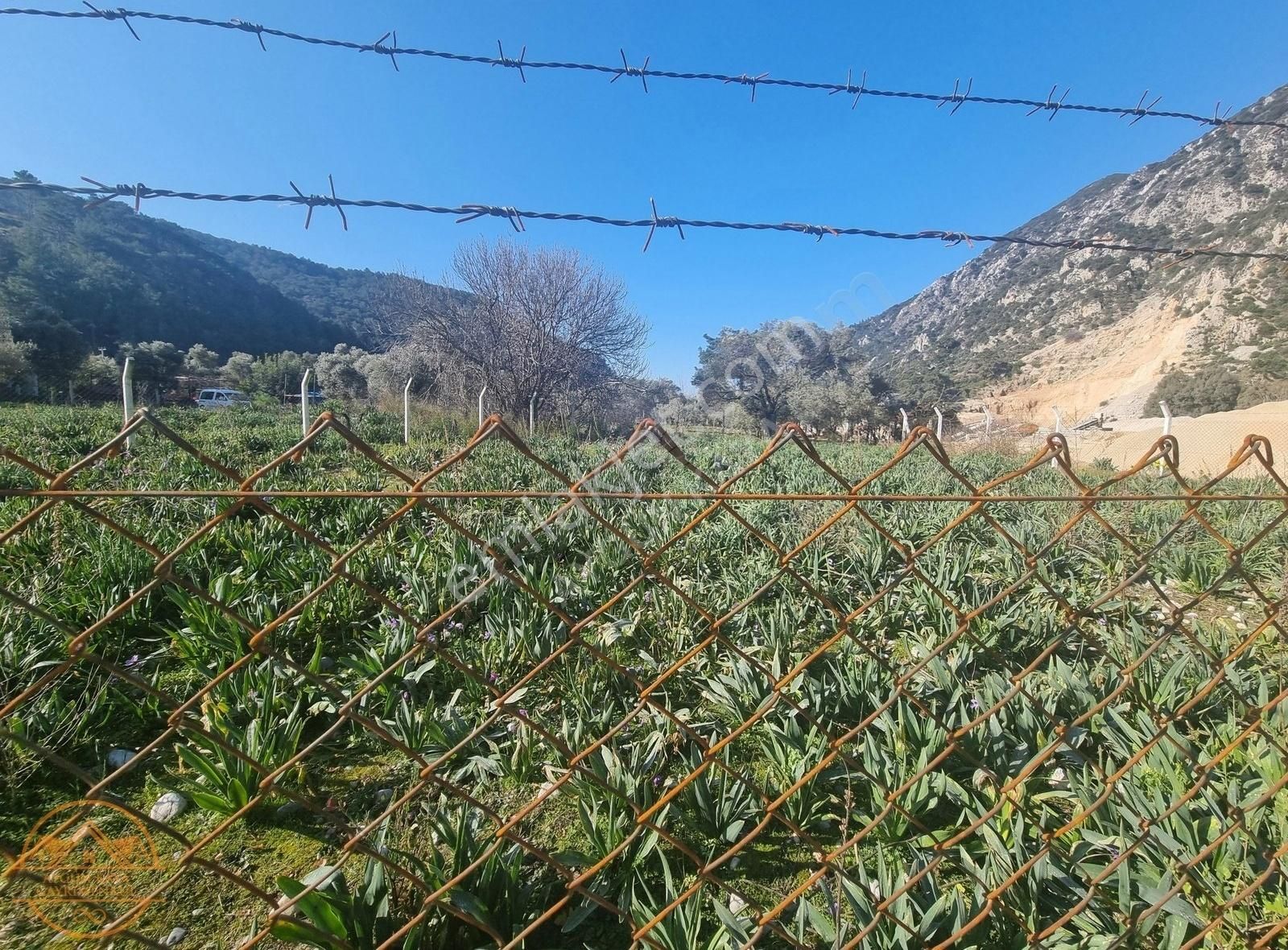 Ula Gökova'da Satılık 505 M2 Tarla